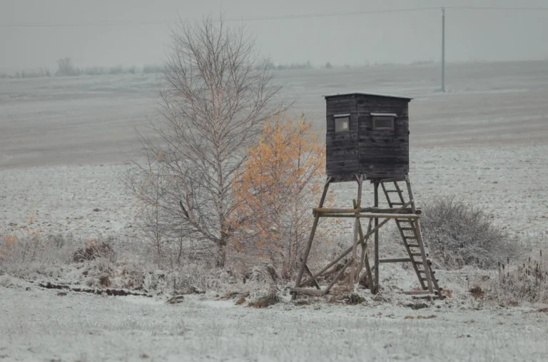 hunting blind In winter
